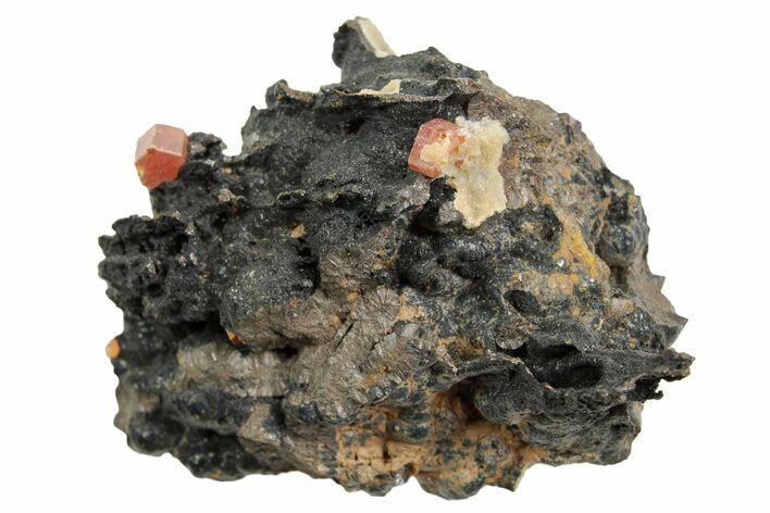 Small Red Vanadinite Crystals on Goethite - Morocco #366225